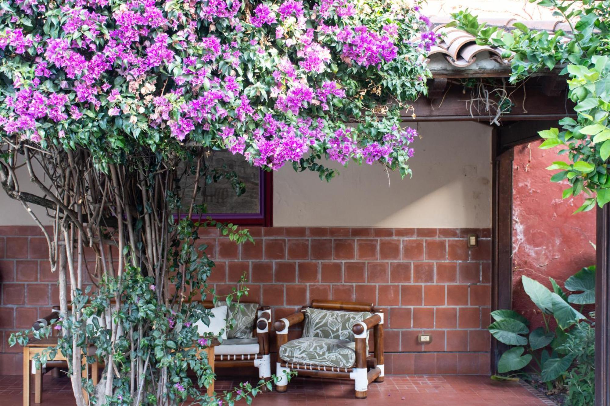 Hotel Boutique La Candela Salta Exterior foto